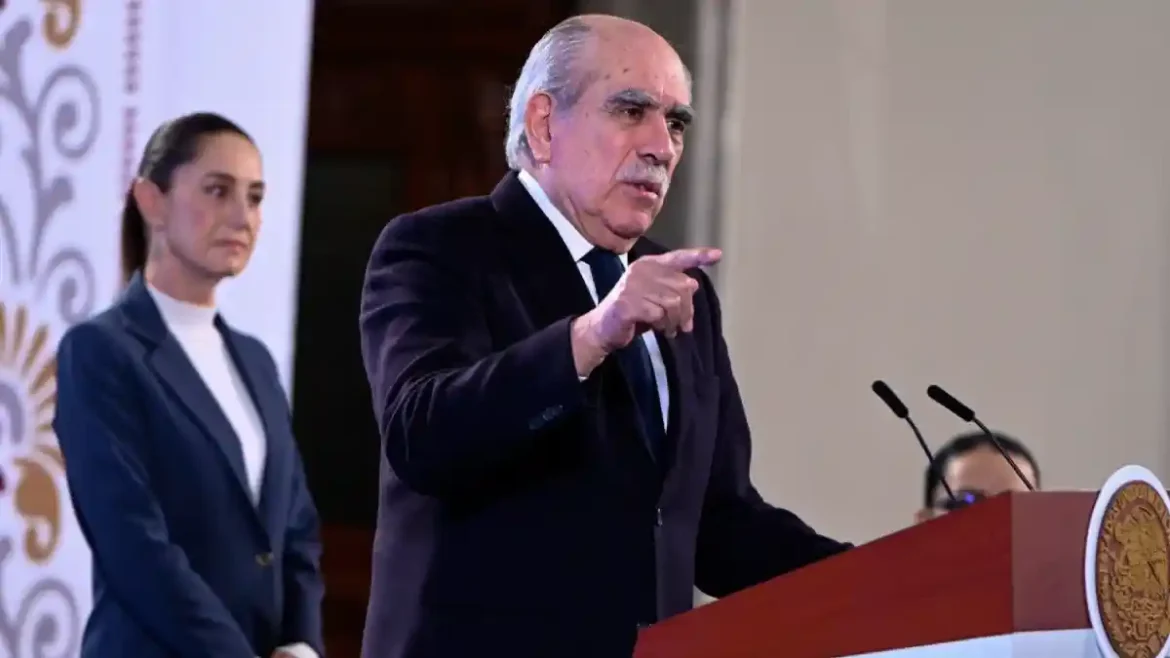 Cómo será la consulta ciudadana para la nueva reforma electoral