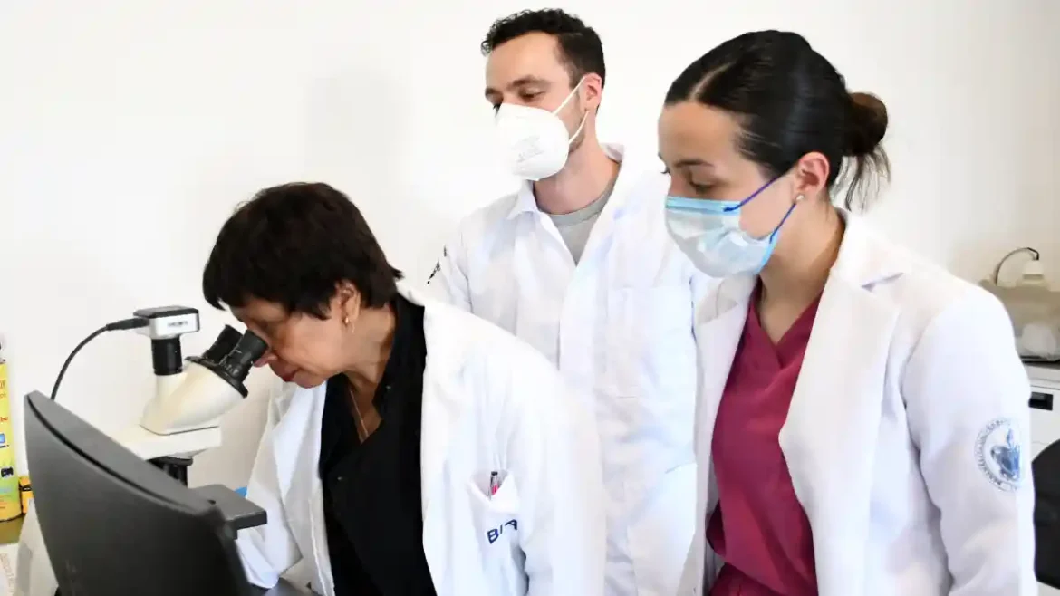 Investigadores de la BUAP predicen y describen la regeneración epitelial