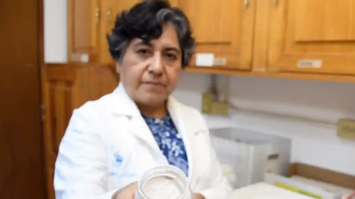 Académica de la BUAP propone usar arcillas para adsorber micotoxinas, un hongo que afecta al maíz