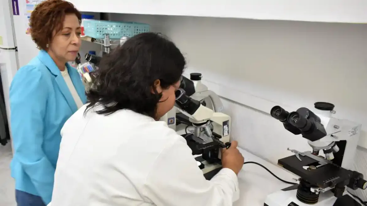 Extractos de pápalo y pipicha inhiben crecimiento de bacterias patógenas: investigadoras de la BUAP