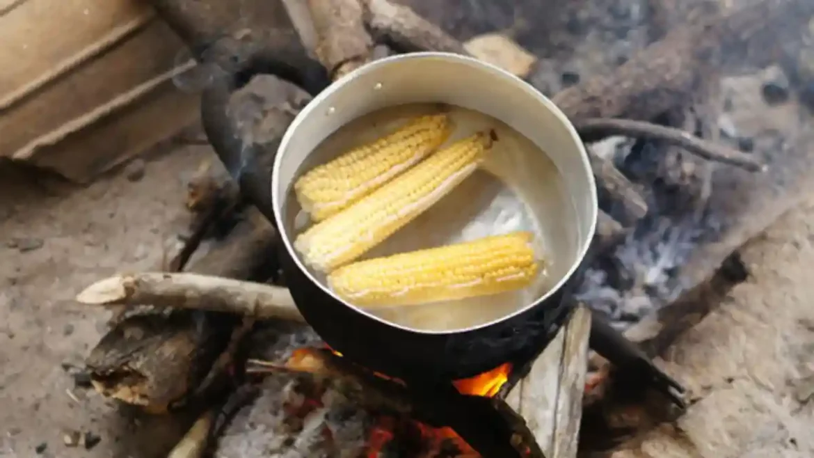 Académicos BUAP analizan viabilidad de estufas ahorradoras de leña