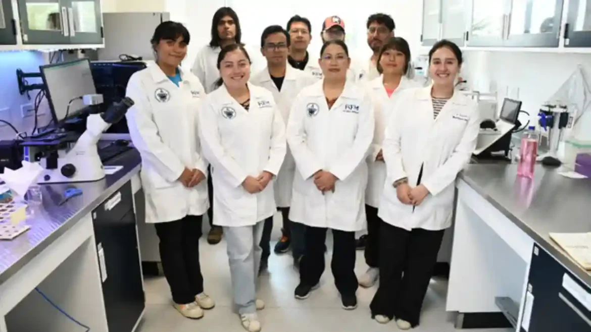 Se fabrican en la BUAP nanofibras para remover metales pesados en agua