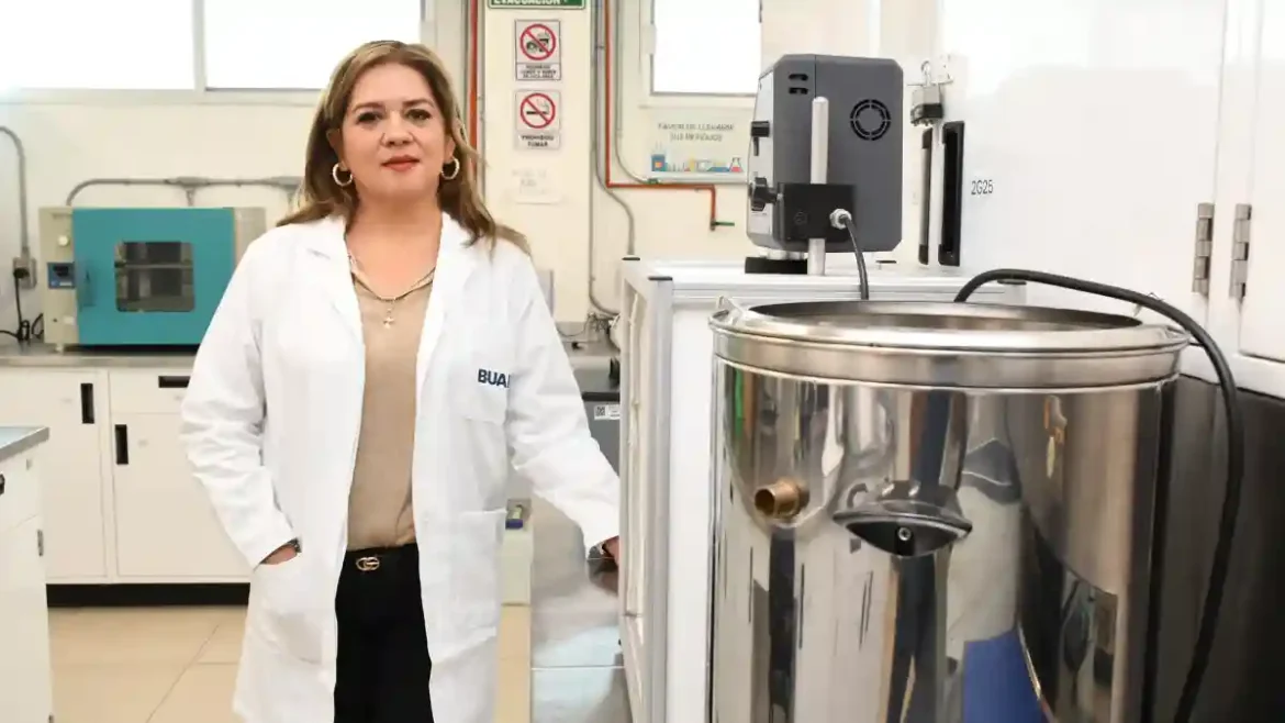 Desarrollan productos con compuestos bioactivos a partir de la planta Tecoma stans, para prevenir diabetes