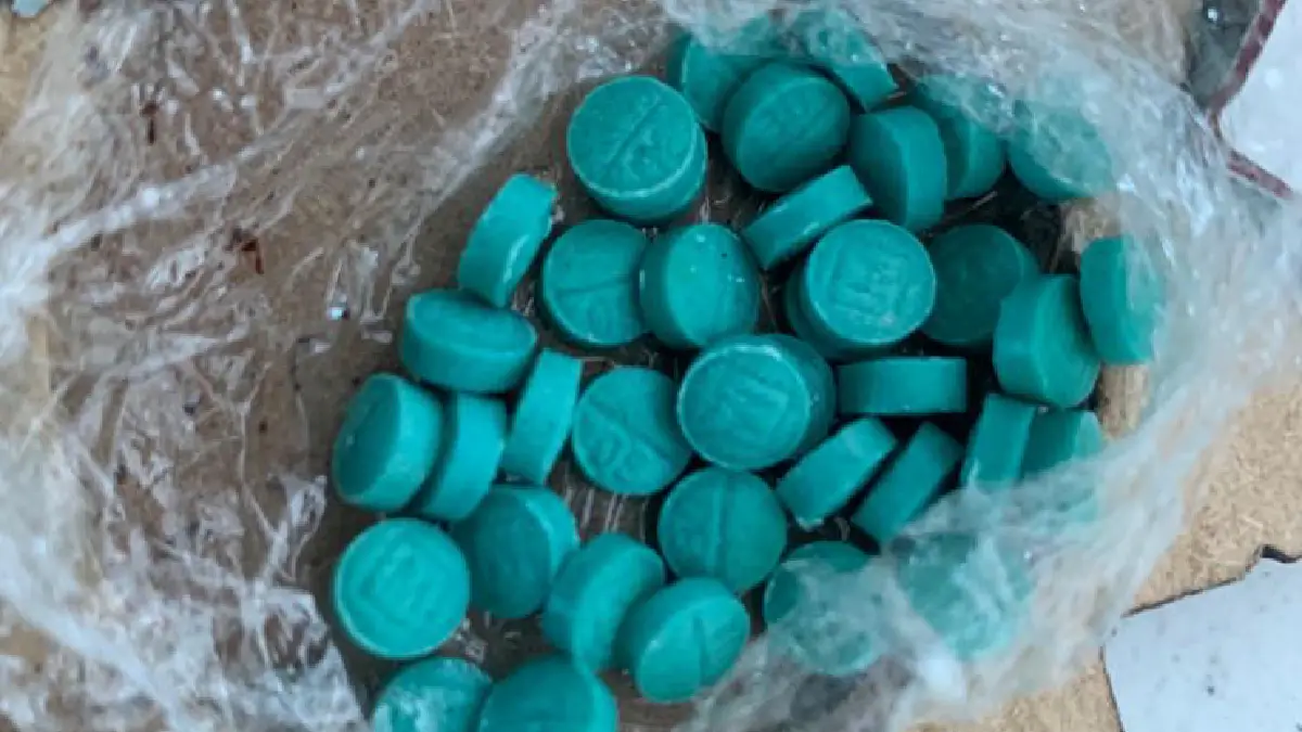 Créditos: Guardia Nacional