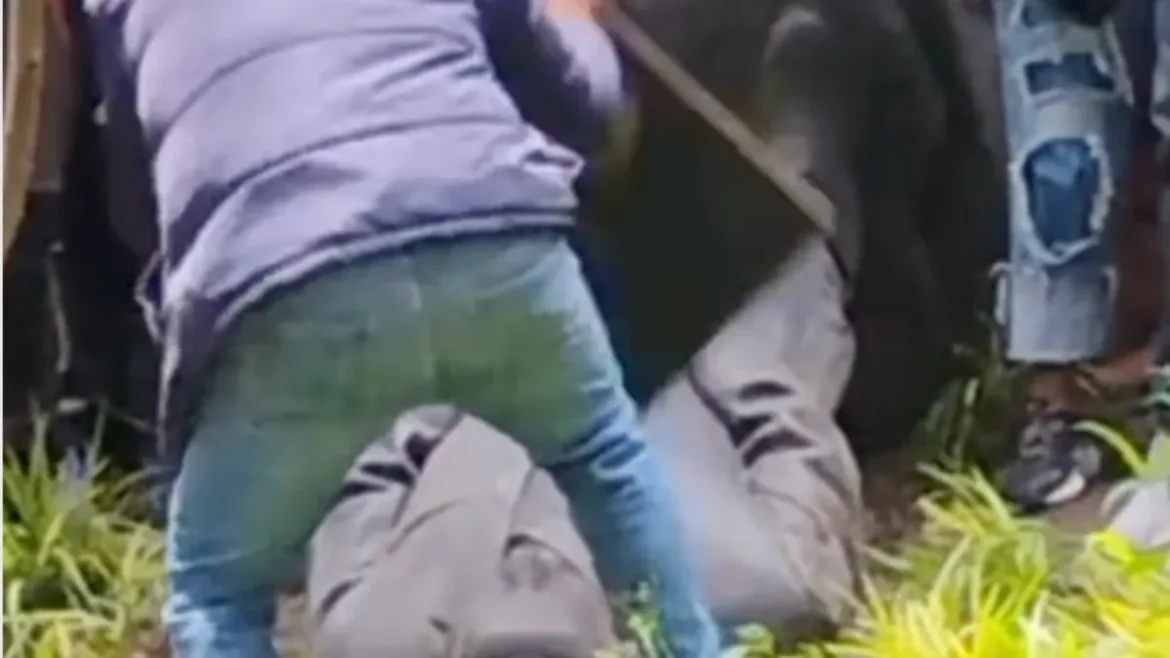 ¿Qué pasó con la estatua de Felipe Calderón en Los Pinos? Extrabajadores de Luz y Fuerza la decapitan