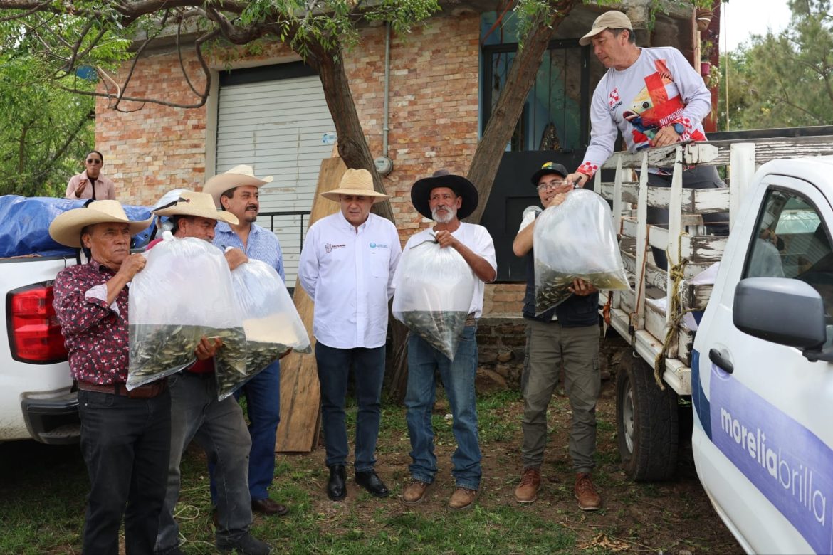 Gobierno de Morelia apoya a productores de pescado de las tenencias